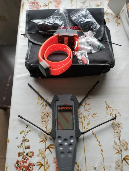 Radar de localisation radio+ GPS pour chien 