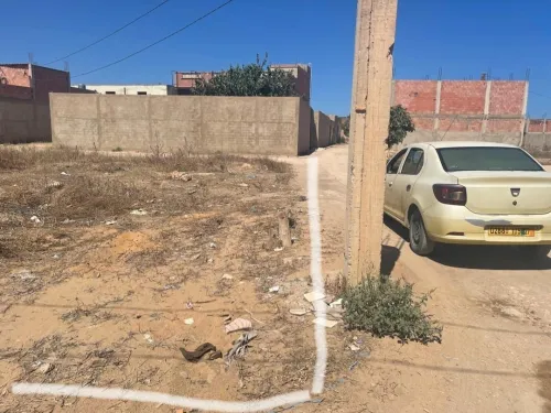 Vente Terrain Mostaganem Hassi maameche