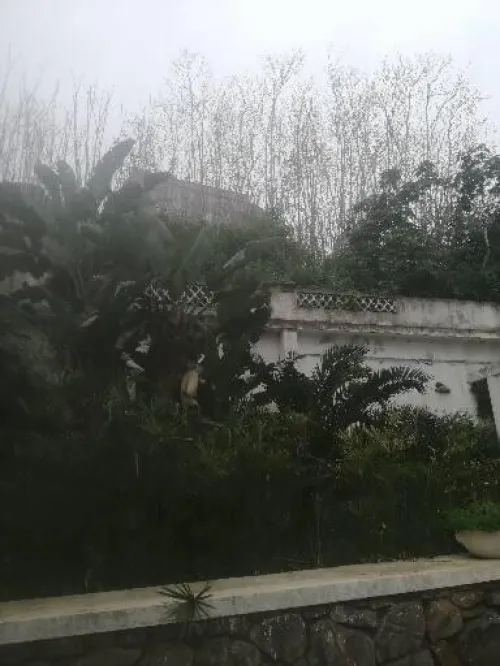 Vente Niveau De Villa F9 Alger Hussein dey