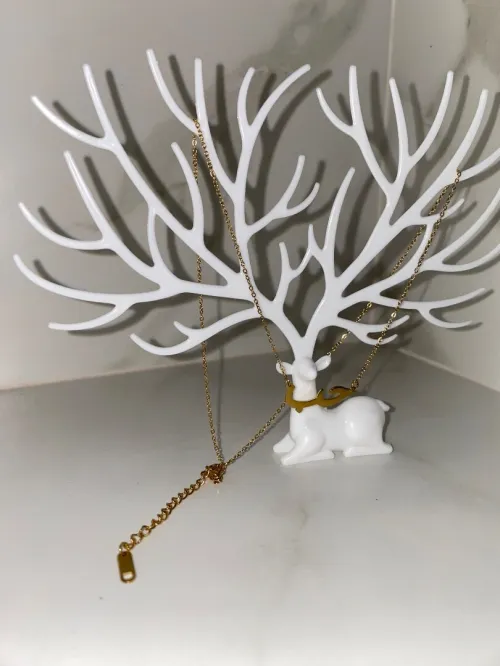 Collier acier inoxydable