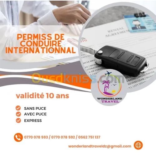 permet de conduire internationnal