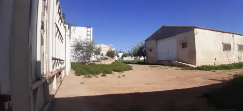 Vente Terrain Agricole Sidi bel abbes Amarnas
