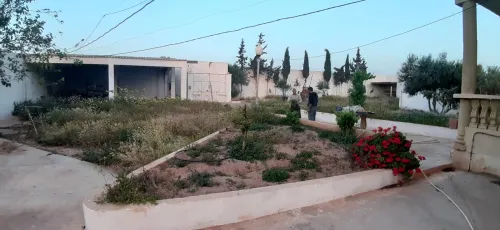 Vente Terrain Agricole Sidi bel abbes Amarnas
