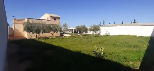 Vente Terrain Agricole Sidi bel abbes Amarnas