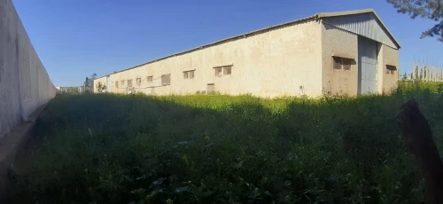 Vente Terrain Agricole Sidi bel abbes Amarnas
