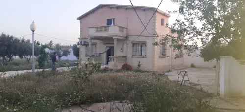 Vente Terrain Agricole Sidi bel abbes Amarnas