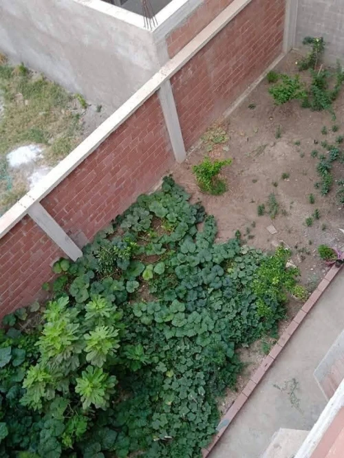 Vente Villa Mila Grarem gouga