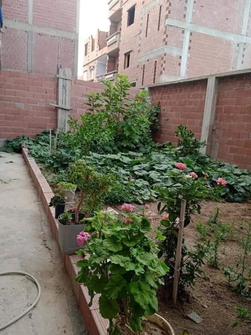 Vente Villa Mila Grarem gouga