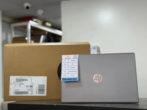 HP 250 G10 i5-1334U 8GB SSD 256GB FULL HD WINDOWS 11 SILVER 