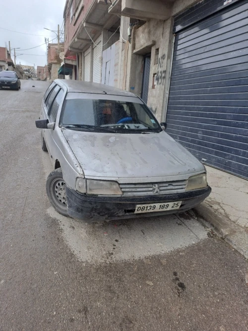 Peugeot 405 1989 405