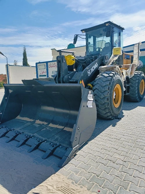 ZL50GN Xcmg 2025