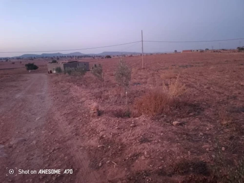 Vente Terrain Agricole Saida Youb