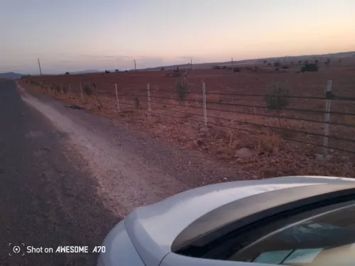 Location Terrain Agricole Saïda Youb
