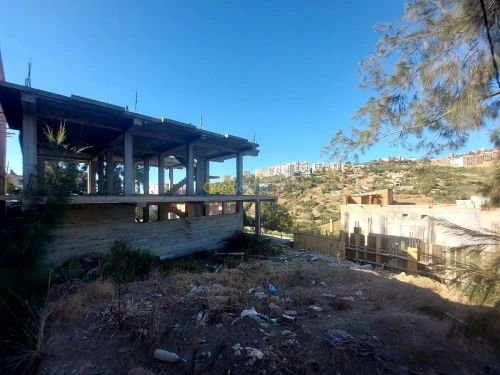 Vente Carcasse Tipaza Cherchell