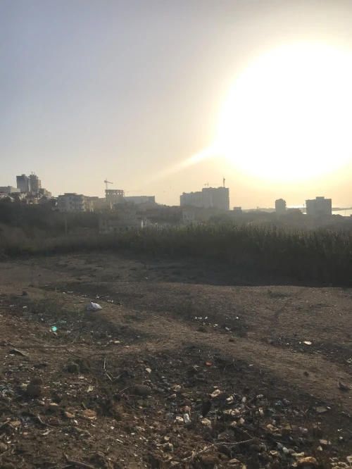 Vente Terrain Mostaganem Mostaganem