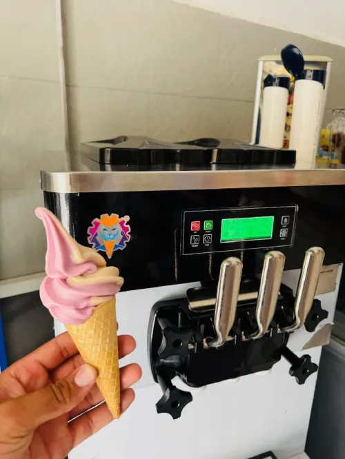 Location 2 Machines à Glace Professionnelles idéal pour commerce.