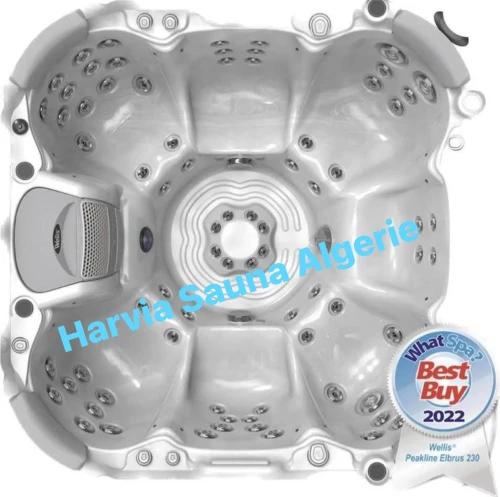 Spa Jacuzzi Wellis
