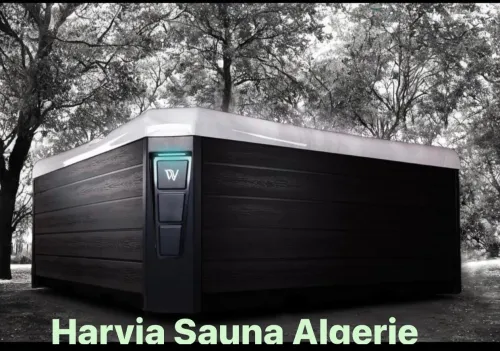 Spa Jacuzzi Wellis