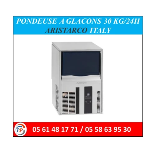 PONDEUSE A GLACONS 30 KG/24H ARISTARCO ITALY