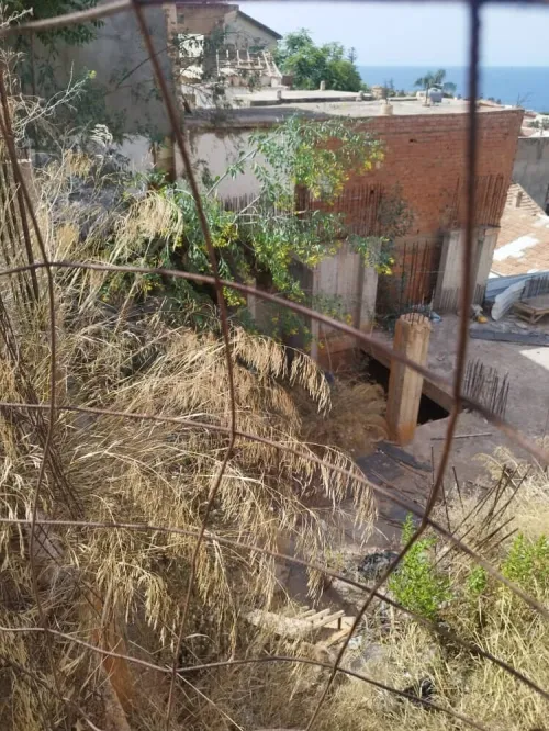 Vente Terrain Alger Bologhine