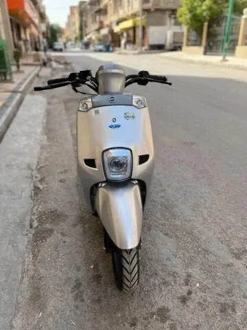 Vms Cuxi 2024