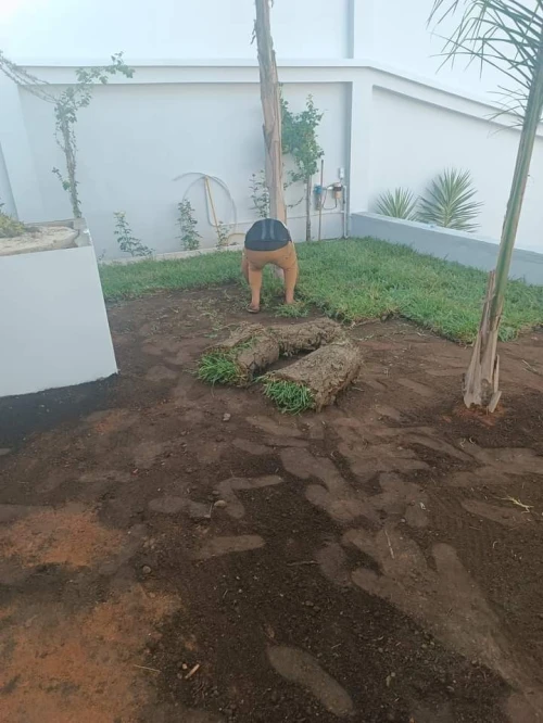 Espace vert naturel 