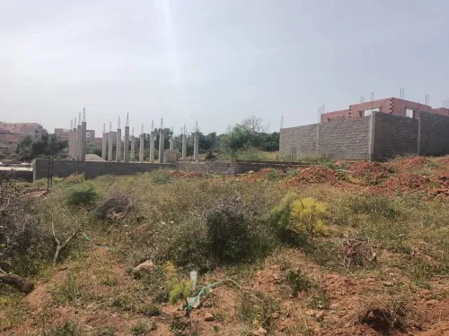 Vente Terrain Tlemcen Honaine