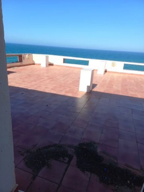 Vente Appartement F3 Tipaza Tipaza