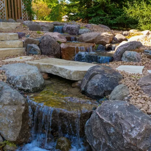 Stonehouse, service jardin,