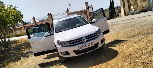 Volkswagen Tiguan 2014 Cup