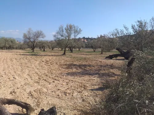 Vente Terrain Bouira Ath mansour taourirt
