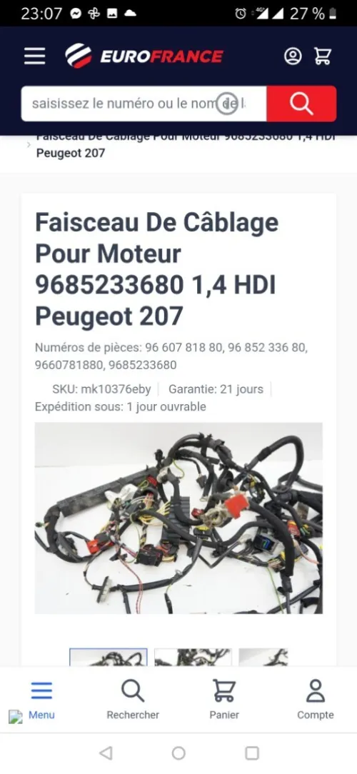Ficeau de motor 207 cass france ndiff bazef