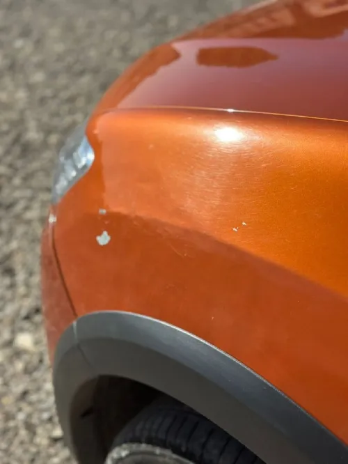 Renault Stapway 2017 Stapway