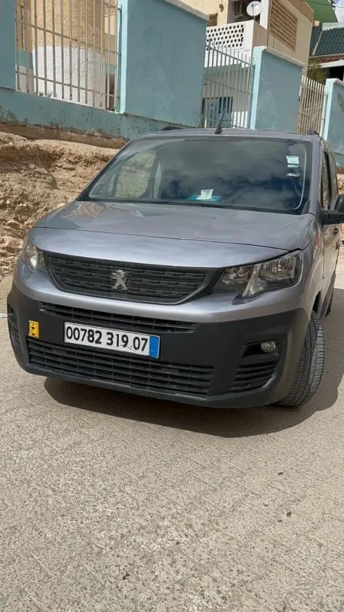 Peugeot Partner 2019 Partner