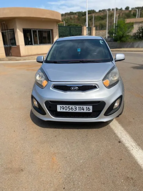 Kia Picanto 2014 Pup