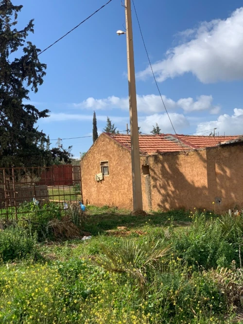 Vente Terrain Agricole Tlemcen Tlemcen