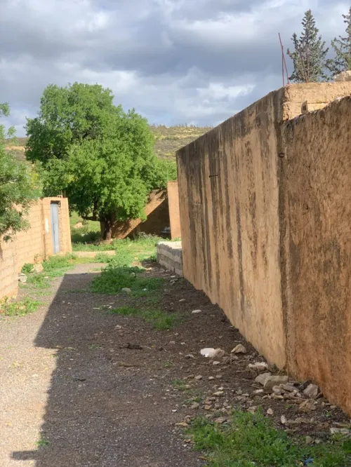Vente Terrain Agricole Tlemcen Tlemcen