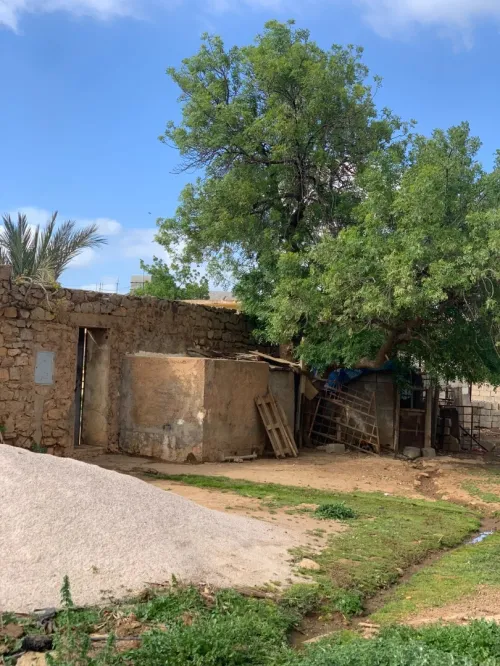 Vente Terrain Agricole Tlemcen Tlemcen