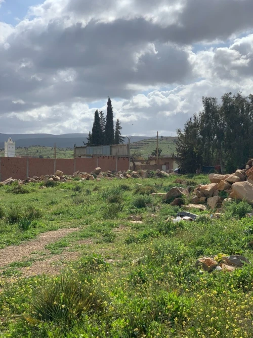 Vente Terrain Agricole Tlemcen Tlemcen