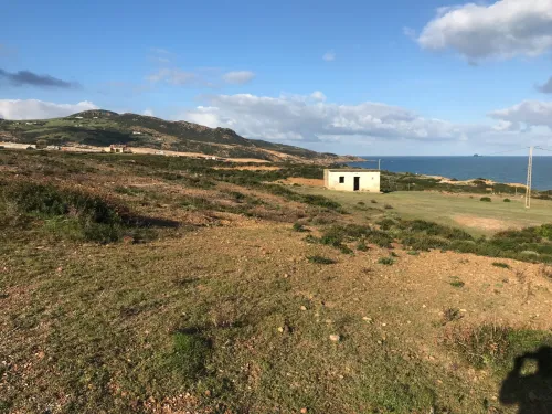 Vente Terrain Ain Ain