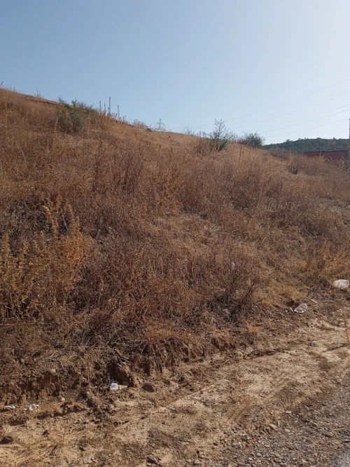 Vente Terrain Bouira Ain el turc