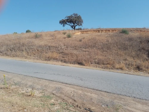 Vente Terrain Bouira Ain el turc