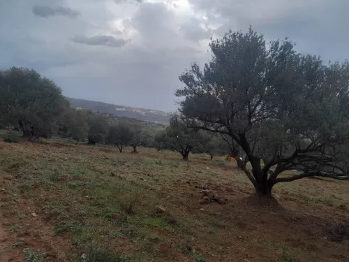 Vente Terrain Béjaïa Akbou