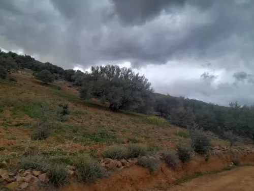 Vente Terrain Béjaïa Akbou