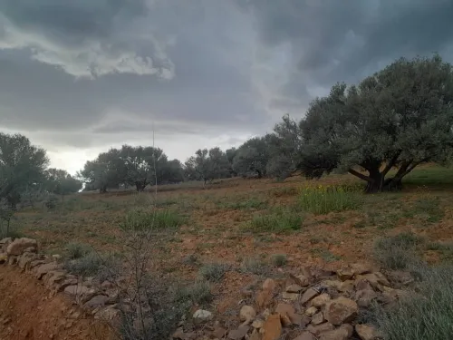 Vente Terrain Béjaïa Akbou