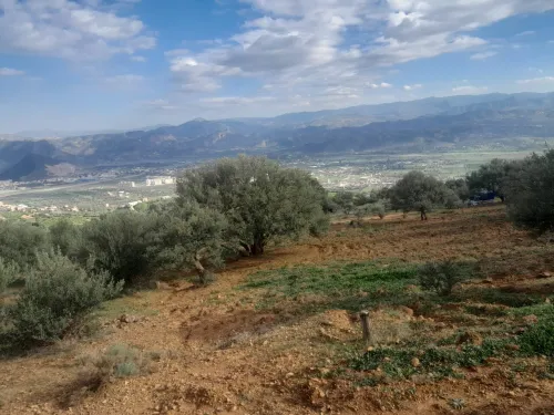 Vente Terrain Béjaïa Akbou