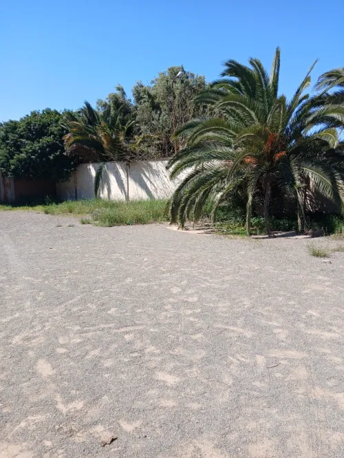 Vente Terrain Oran Oran