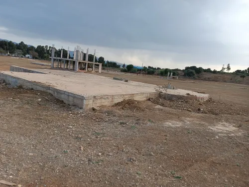 Vente Terrain Tipaza Kolea