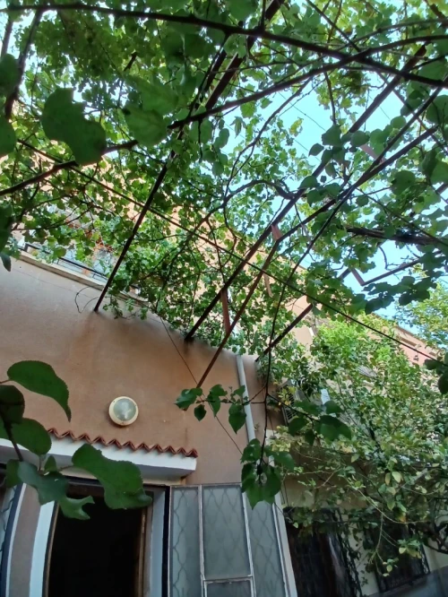 Vente Villa Sidi Bel Abbès Sidi bel abbes
