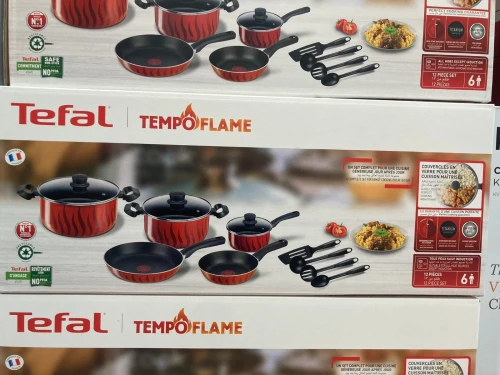 tefal ingenio